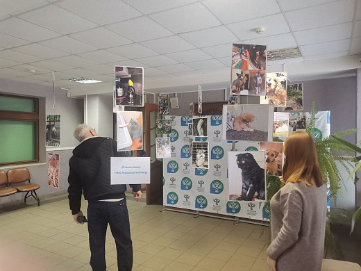 В ивановском Россреестре открылась фотовыставка, посвященная братьям нашим меньшим